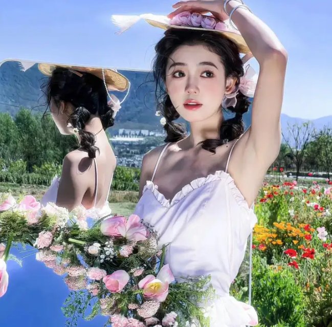 宫崎骏与苍鹭