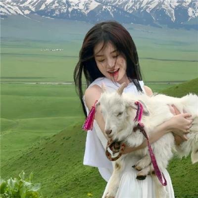 陀枪师姐2